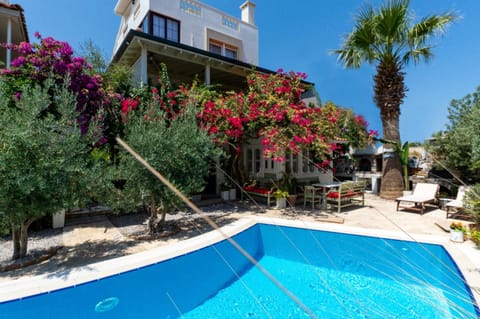 Day, Garden, Garden view, Pool view, Swimming pool, sunbed