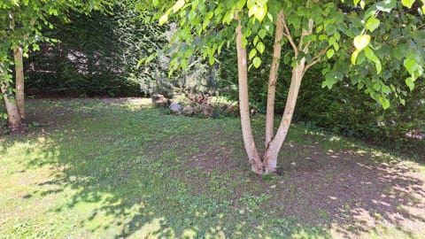 Casa Giulia Apartment in Friuli-Venezia Giulia