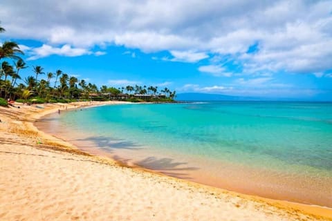 Day, Beach, Sea view