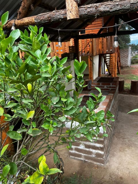 Cabaña nueva luna Campground/
RV Resort in State of Puebla