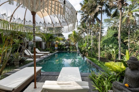 Garden, Garden view, Swimming pool