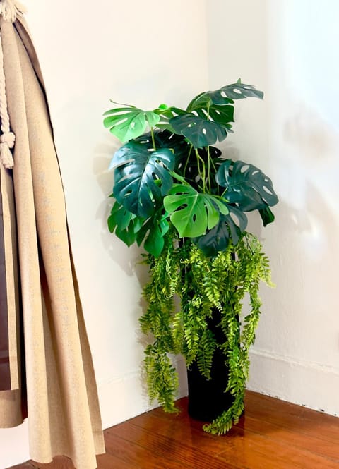 Lupita, apartamento en el centro de Vigo Apartment in Vigo