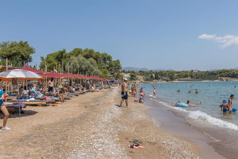 Nearby landmark, People, Natural landscape, Beach, Sea view, sunbed