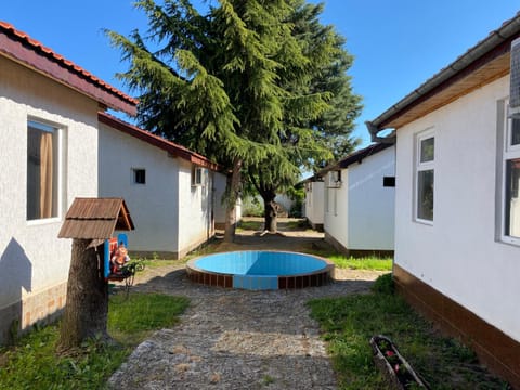 Day, Garden, Garden view