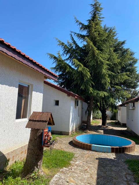 Day, Garden, Garden view