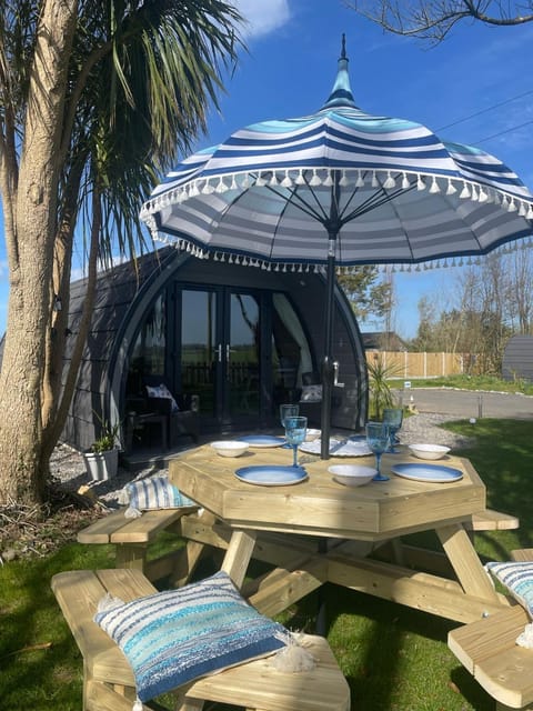 Summer, Garden, Garden view