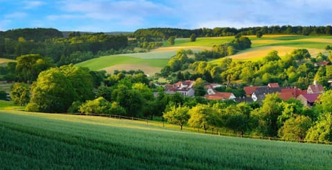Natural landscape
