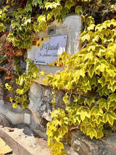 Appartamento I Girasoli Apartment in Positano