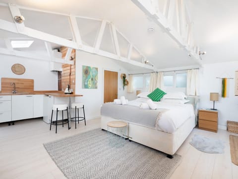 Kitchen or kitchenette, Living room, Other, Photo of the whole room, Seating area, Bedroom