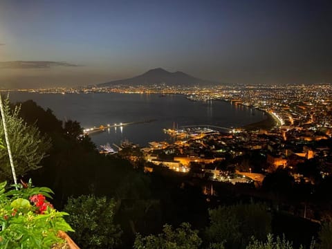 Natural landscape, City view, Sea view