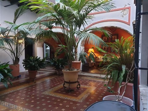 Property view