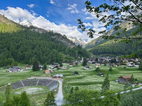 Magnifique racard rénové isolé 10 minutes de marche Chalet in Canton of Valais