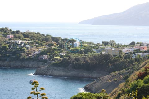 Property building, Natural landscape, Sea view