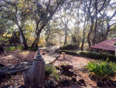 Corazón del monte Nature lodge in State of Puebla