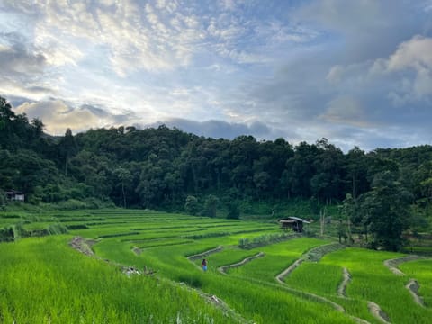 Natural landscape, Mountain view