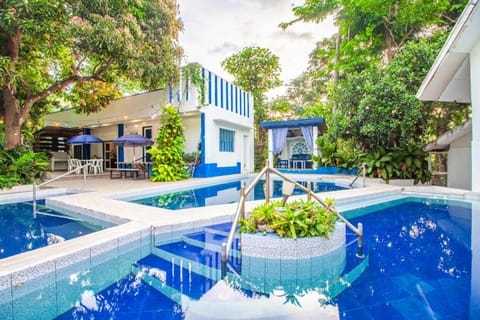 Spring, Day, Garden, Garden view, Pool view, Swimming pool, sunbed