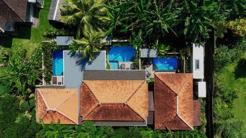 Property building, Garden, Swimming pool