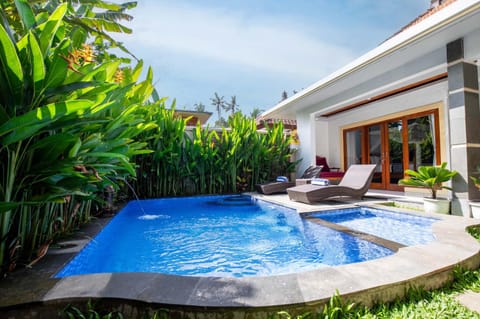 Patio, Natural landscape, Garden, Garden view, Pool view, Swimming pool