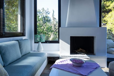 Danae's Art Apartment in Vouliagmeni