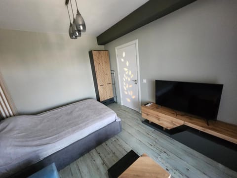 V&S Home Apartment in Plovdiv