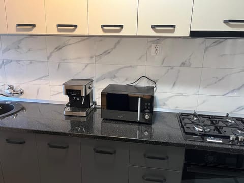 LUCA apartament CENTRAL Apartment in Serbia