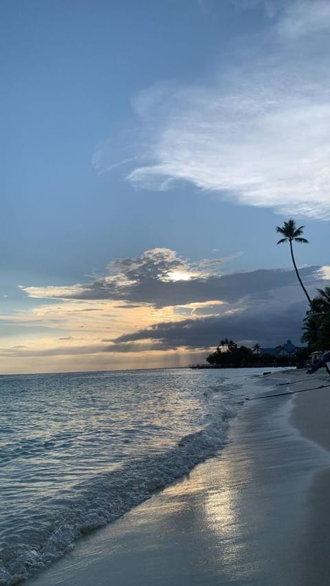 Beach, Sunset