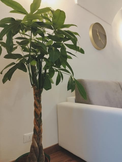 La Maddalena Apartment Apartment in Bordighera