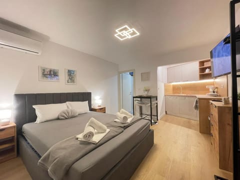 Bed, TV and multimedia, Kitchen or kitchenette, Photo of the whole room, Seating area, Bedroom