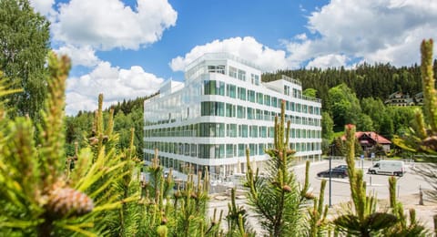Property building, Spring, Day, Natural landscape, Garden