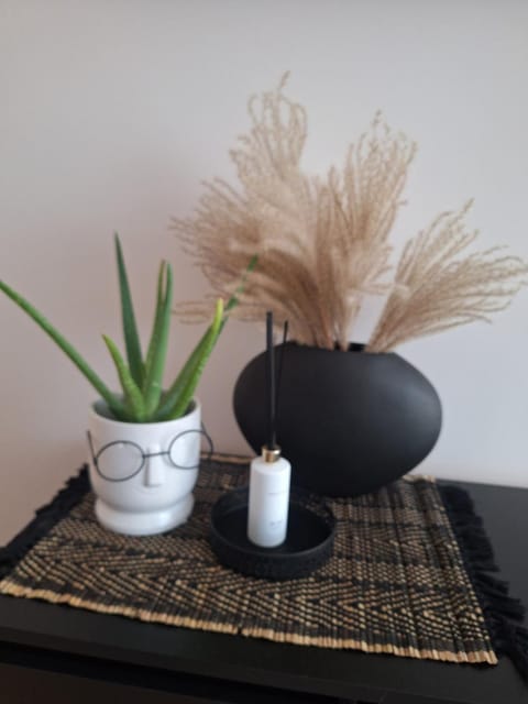 Šiauliai Central Cozy Apartment Apartment in Lithuania