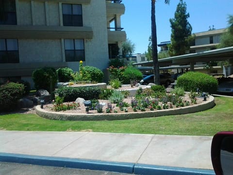 Property building, Day, Garden view