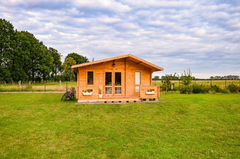 Nowy domek z podgrzewanym basenem na wyłączność House in Kaliningrad Oblast, Russia