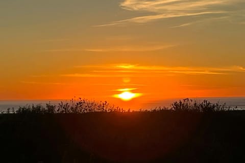 Oceanview Oasis House in Copalis Beach