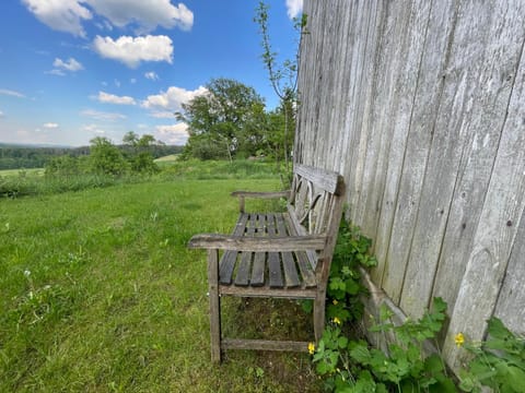 Natural landscape, Garden, View (from property/room)