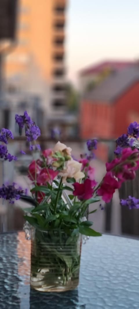 city center apartment Apartment in Lithuania