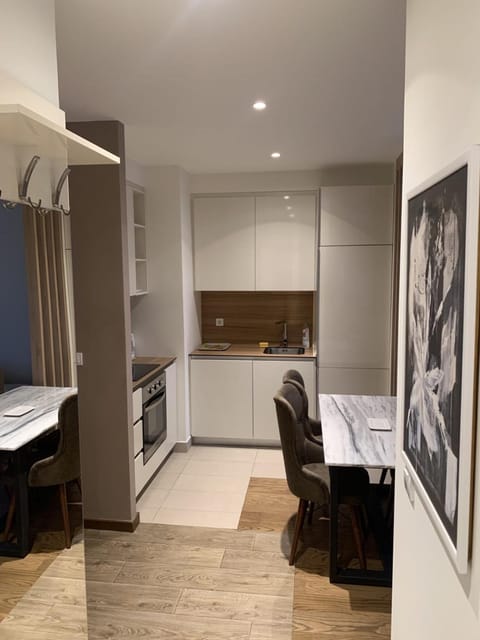 Belgrade Waterfront Tower Apartment in Belgrade