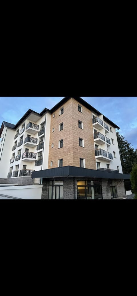 Apartman Zlatibor Mili 21 Apartment in Zlatibor