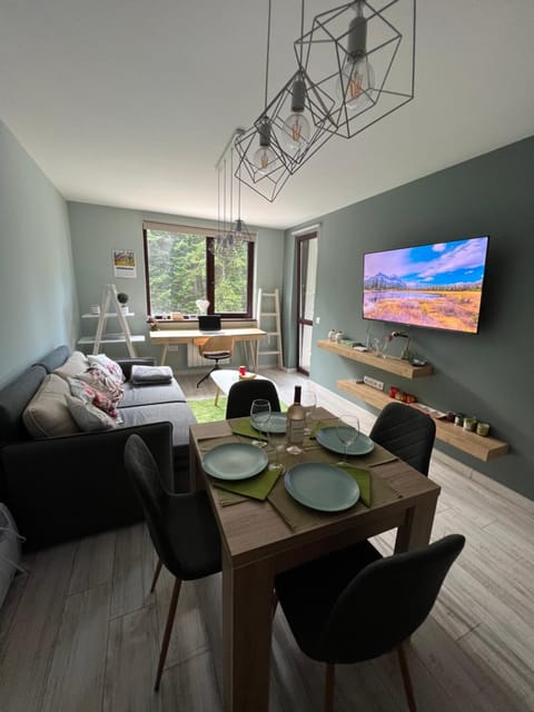 Communal lounge/ TV room, Dining area