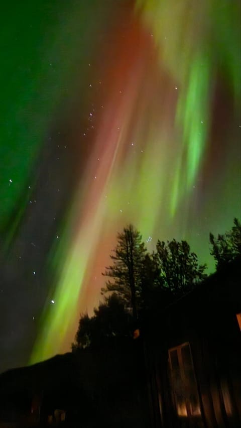 Gammel hus House in Nordland, Norway