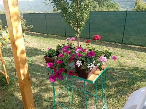 Garden, Garden, Garden view