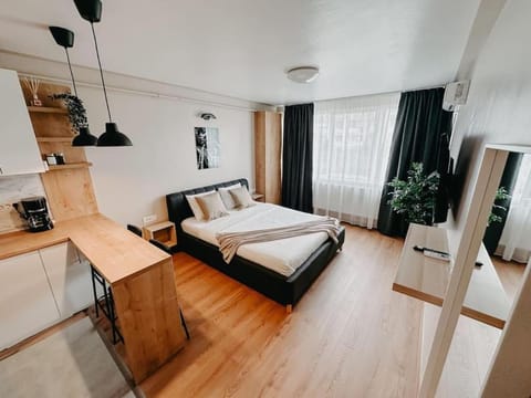 AGOLL Victoria - self checkin Apartment in Timiș County