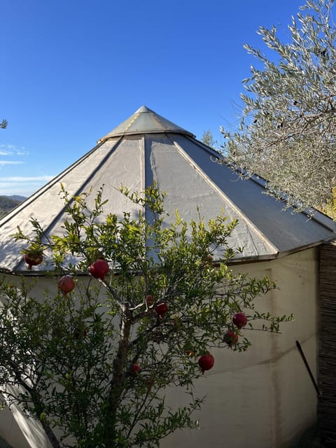Day, Garden