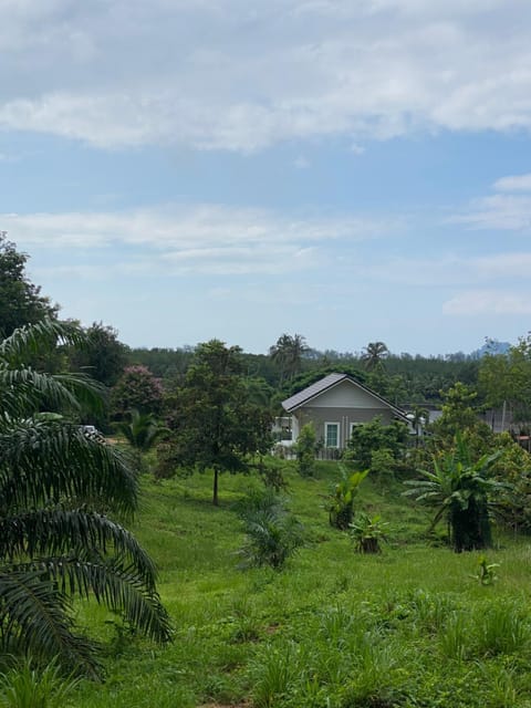 Property building, Day, Natural landscape