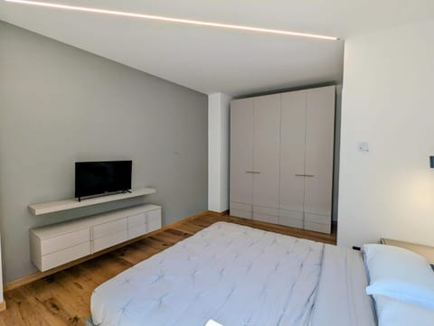 Domus Aurea Apartment in Domodossola