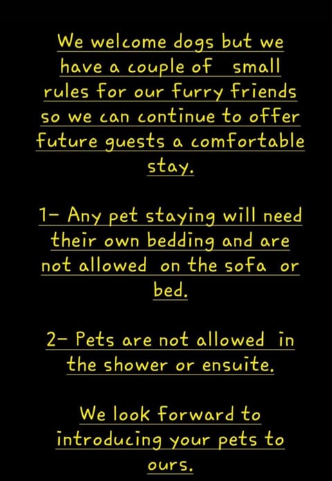 Ollie's studio den Apartment in Ireland