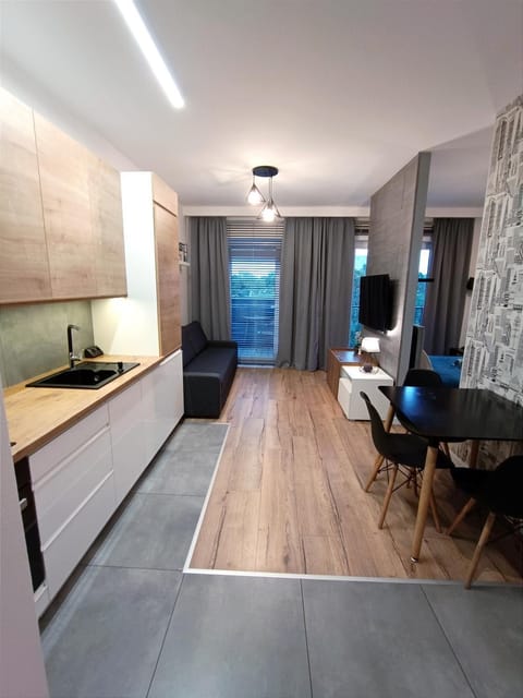 Kitchen or kitchenette, Living room, Dining area