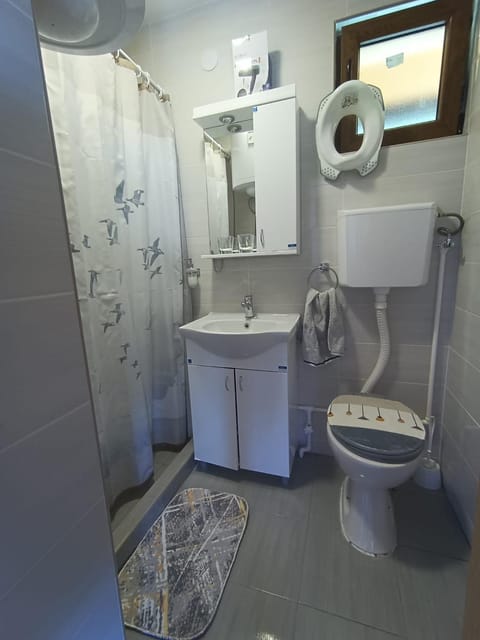 Vila Lenka Apartment in Zlatibor District, Serbia