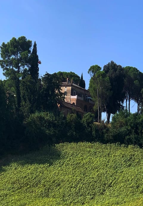 Day, Bird's eye view, View (from property/room)