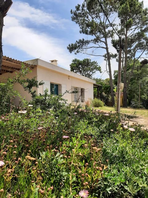 Property building, Garden, Garden, Beach, Garden view
