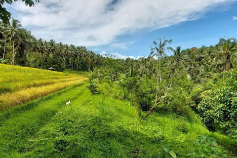 Ecolodge 1BR - JungleHavenBali Chalet in East Selemadeg
